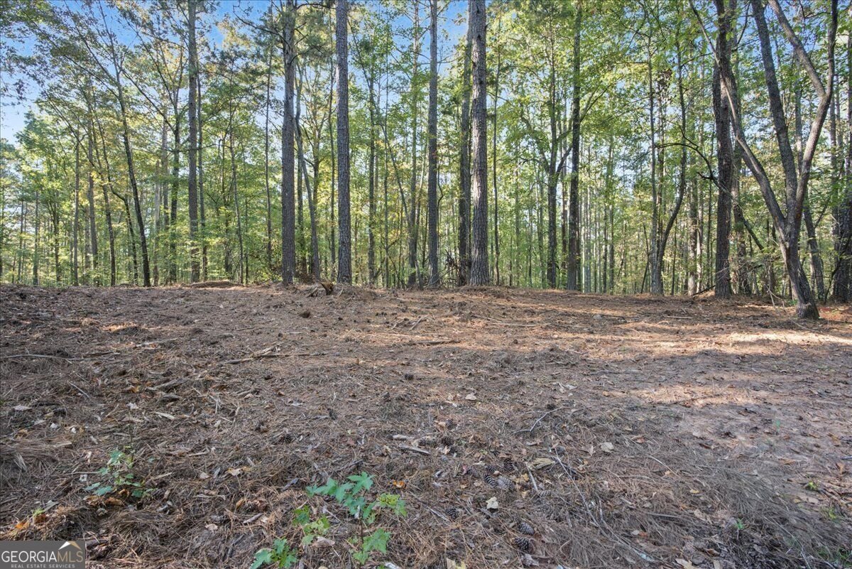 3363 Lakeview Parkway Villa Rica - Photo 43