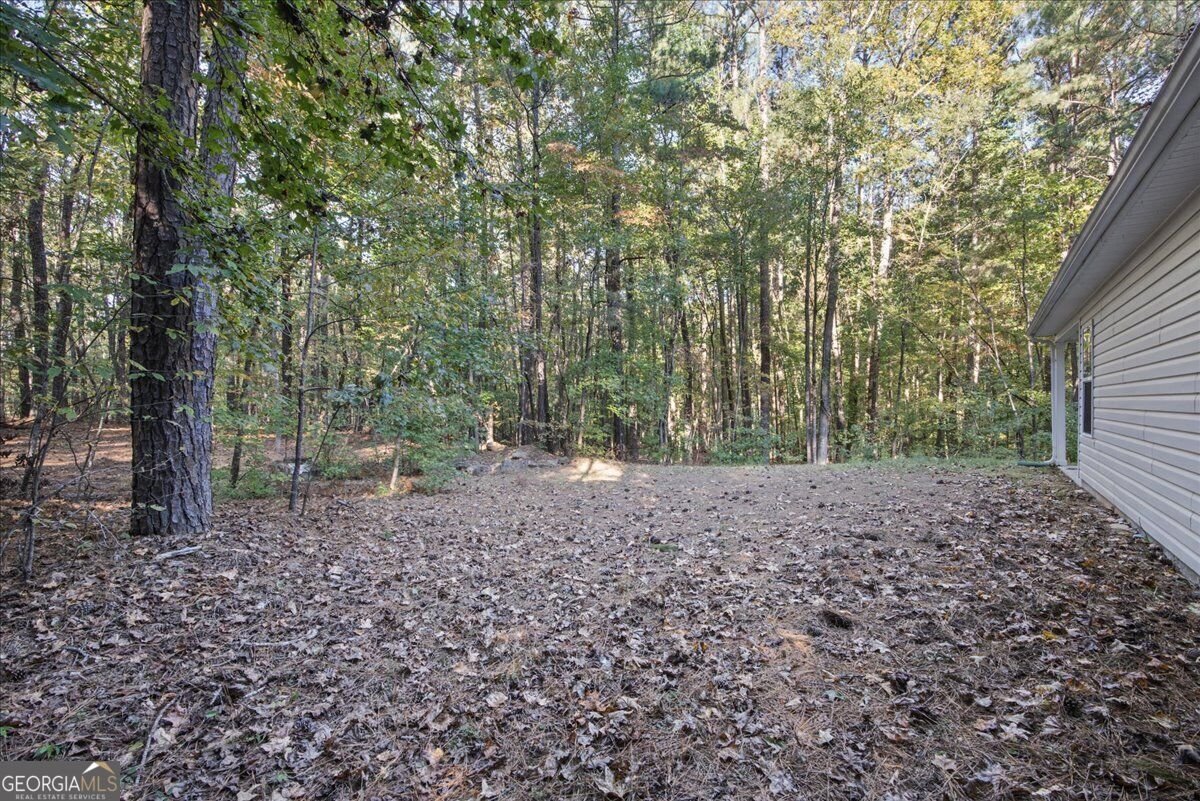 3363 Lakeview Parkway Villa Rica - Photo 44