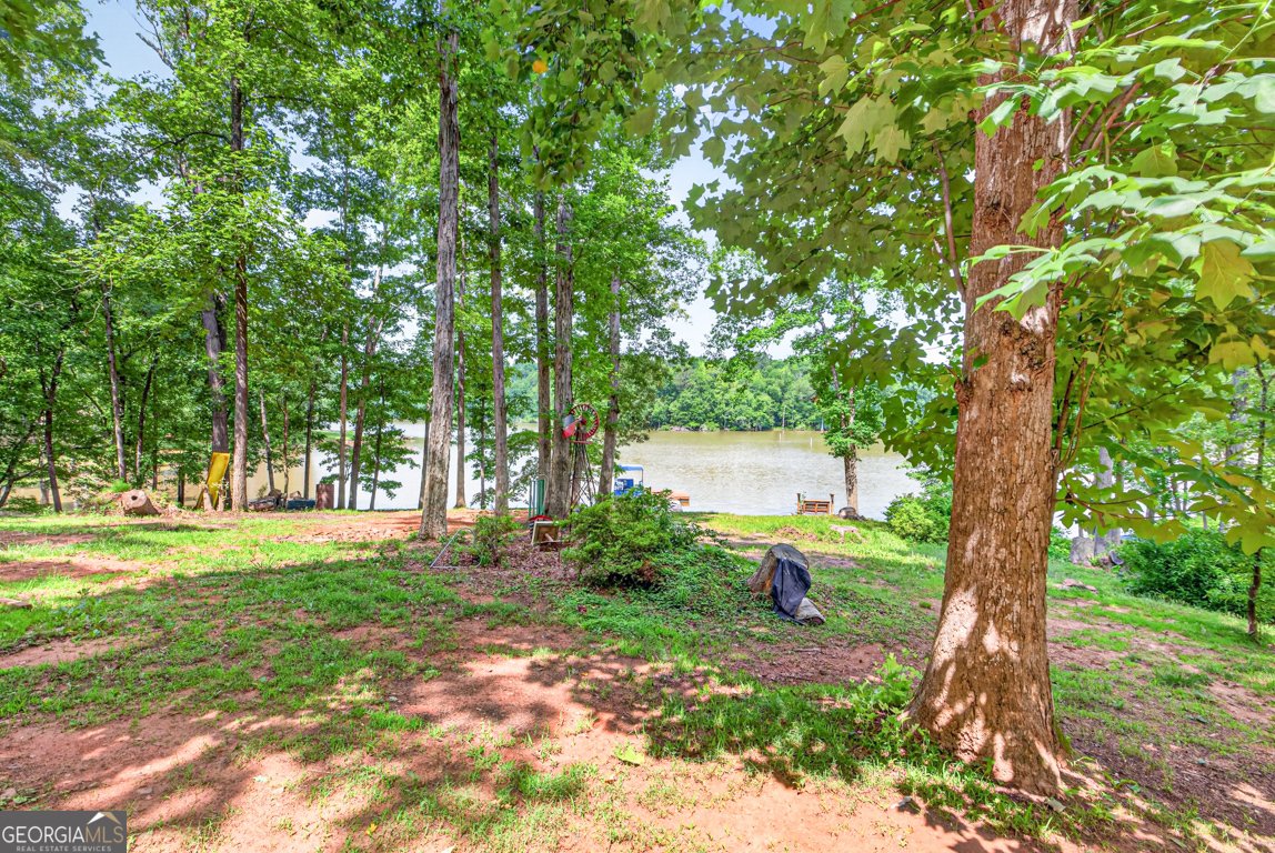 845 Bear Creek Marina Road Mansfield - Photo 47