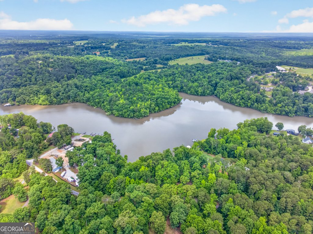 845 Bear Creek Marina Road Mansfield - Photo 54
