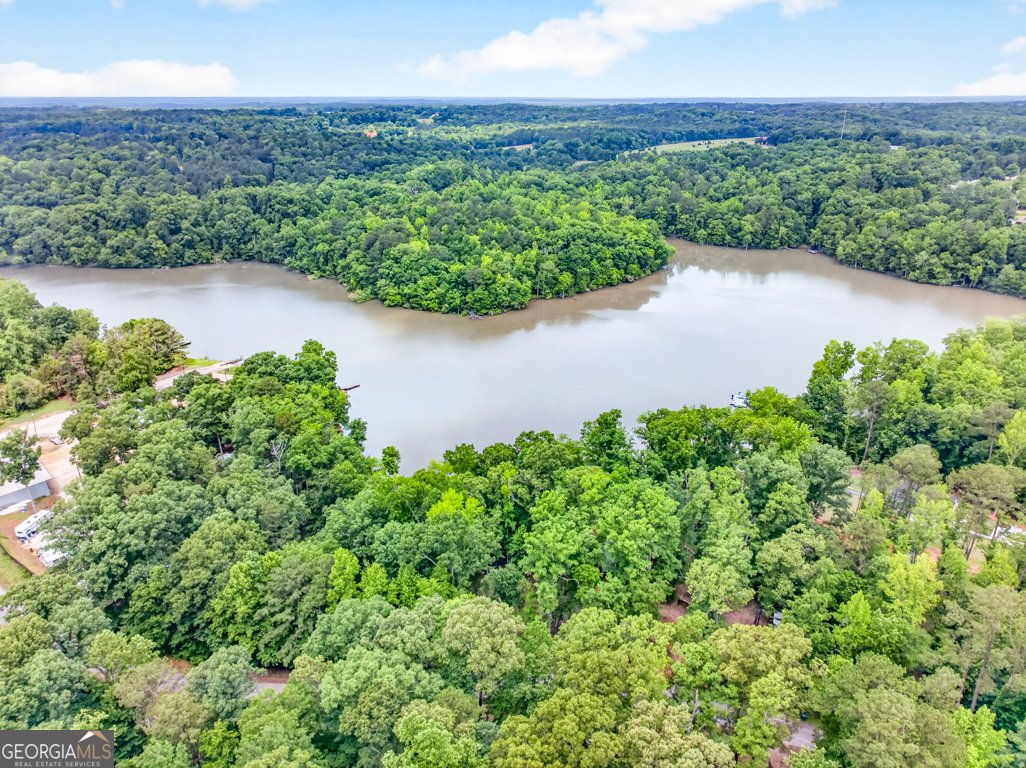 845 Bear Creek Marina Road Mansfield - Photo 56