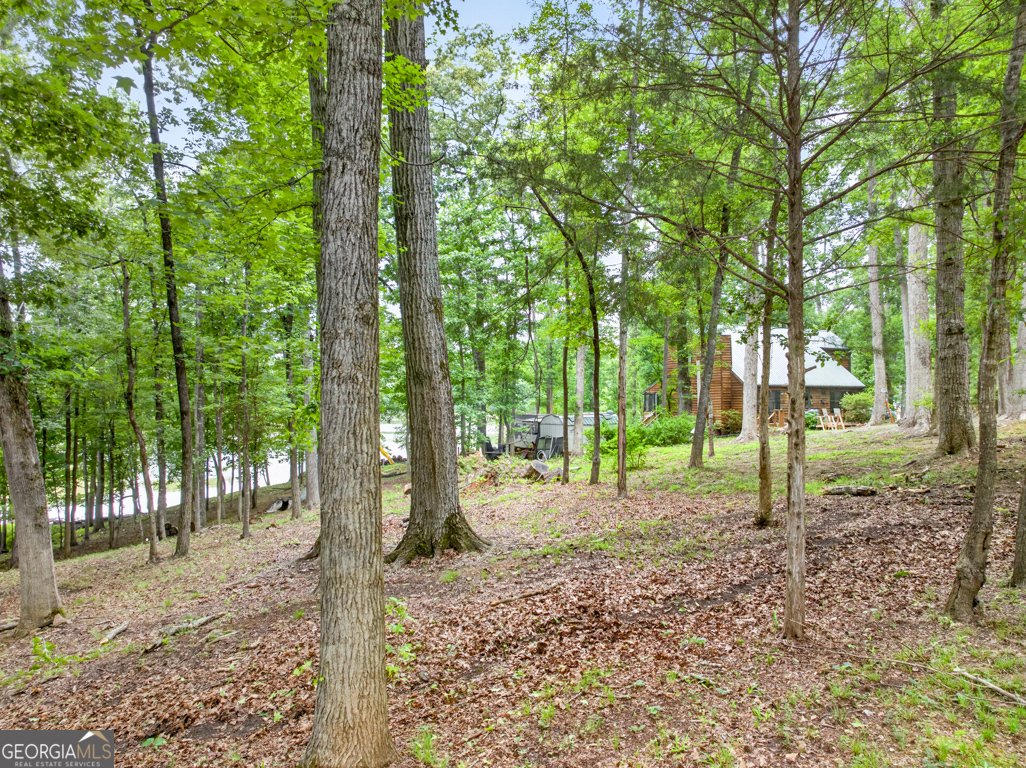 845 Bear Creek Marina Road Mansfield - Photo 57