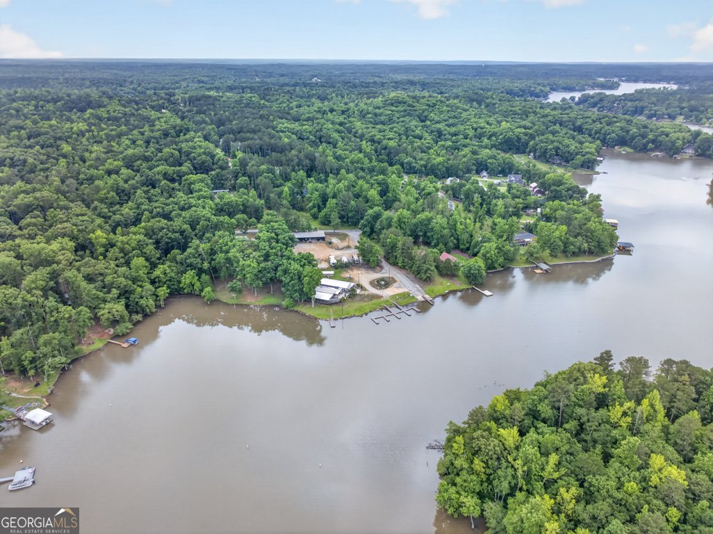 845 Bear Creek Marina Road Mansfield - Photo 59