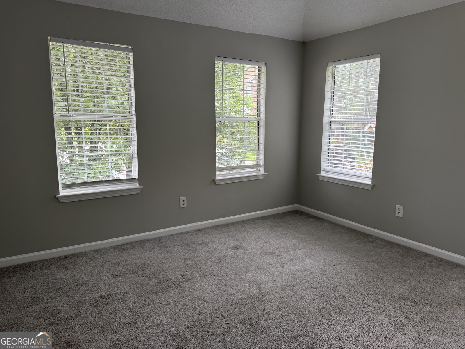 3522 Poplar Shoals Ellenwood - Photo 8