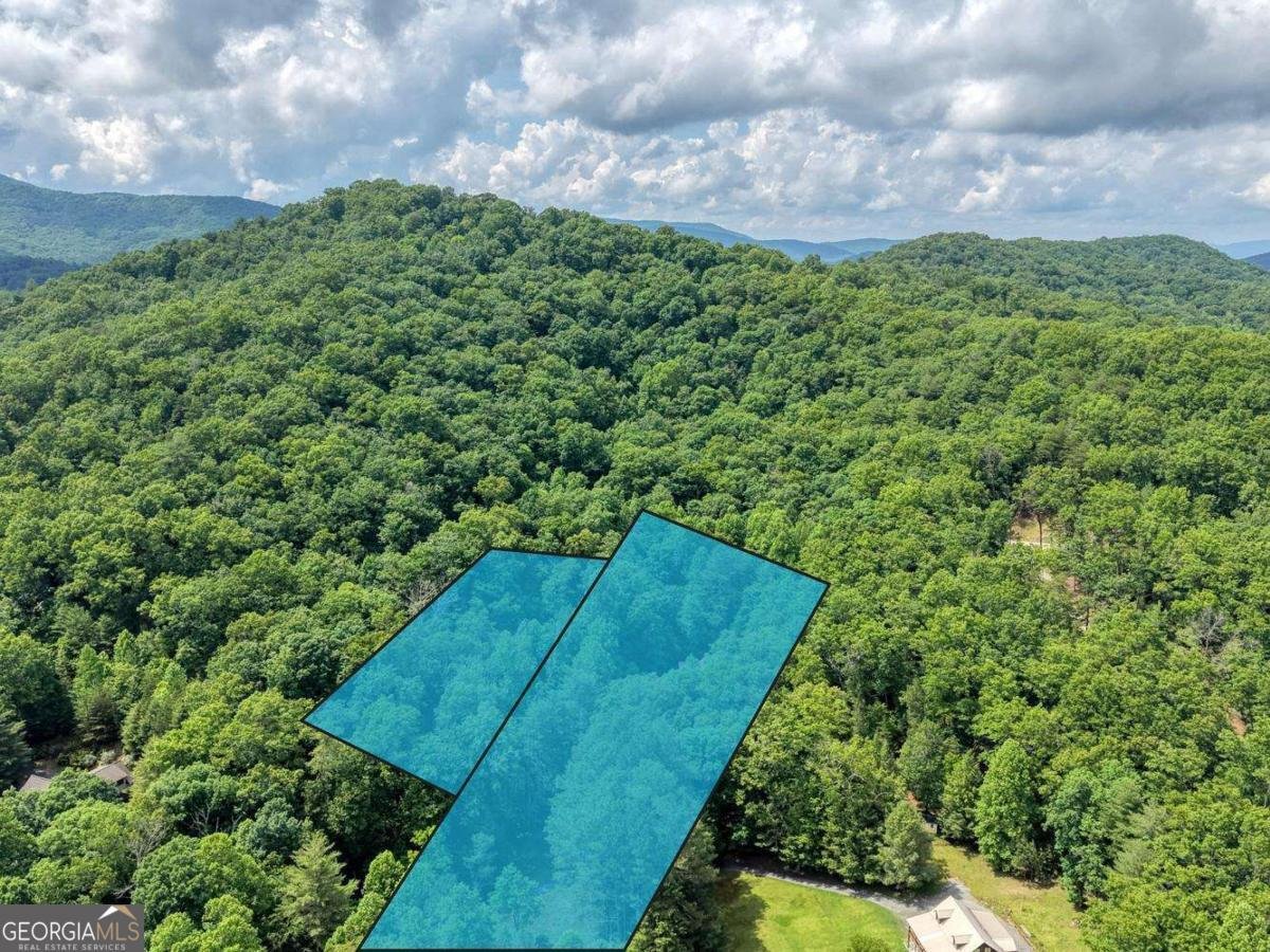 1564 Black Ankle Creek Road Cherry Log - Photo 35