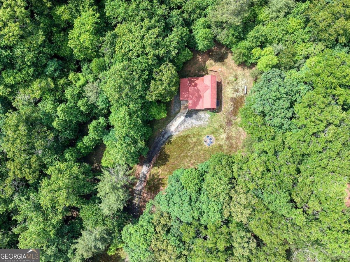 1564 Black Ankle Creek Road Cherry Log - Photo 36