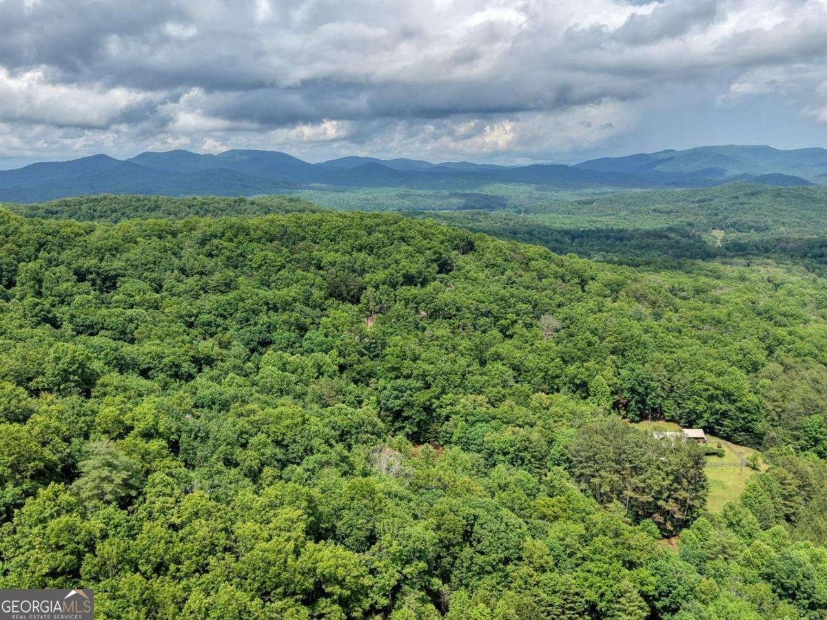 1564 Black Ankle Creek Road Cherry Log - Photo 37
