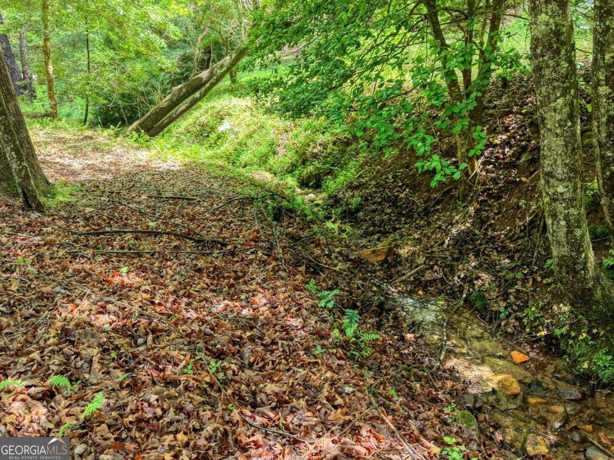 1564 Black Ankle Creek Road Cherry Log - Photo 38