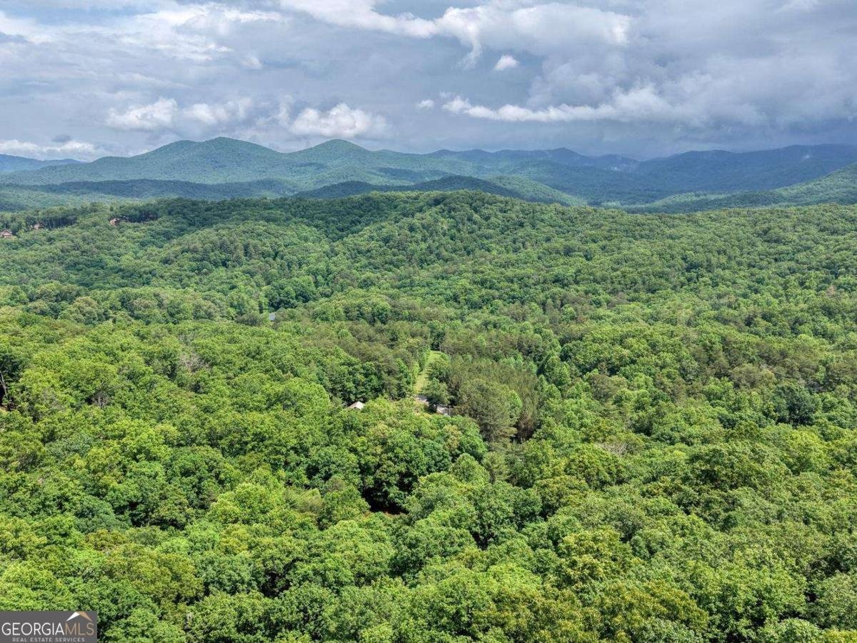 1564 Black Ankle Creek Road Cherry Log - Photo 41