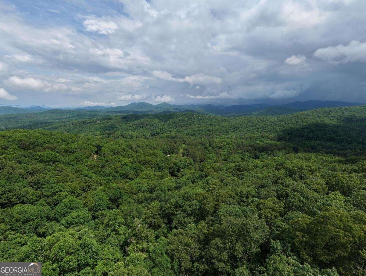 1564 Black Ankle Creek Road Cherry Log - Photo 42