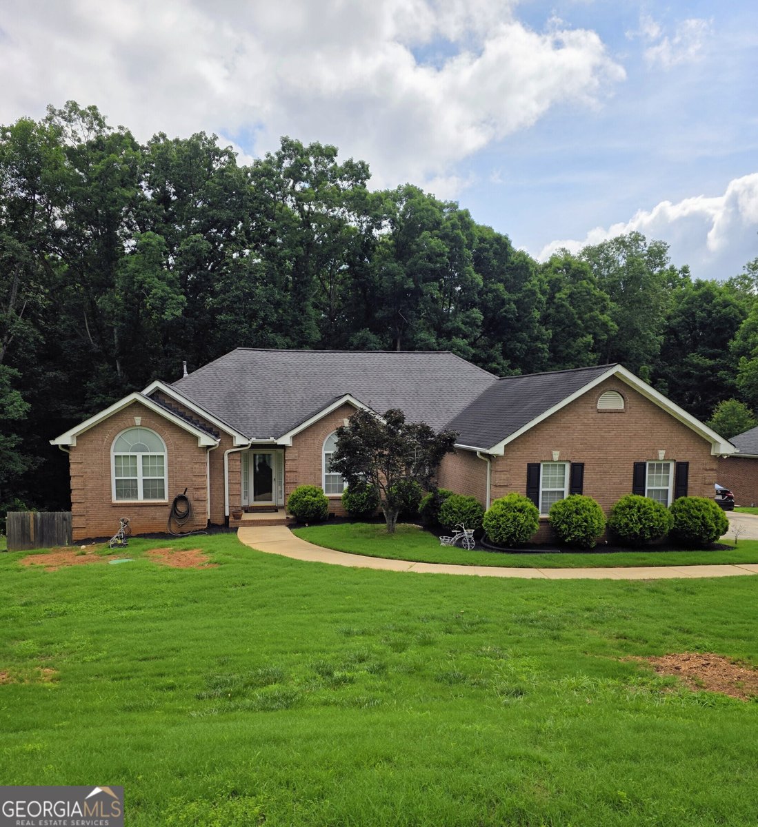 196 Ashley Drive McDonough - main photo