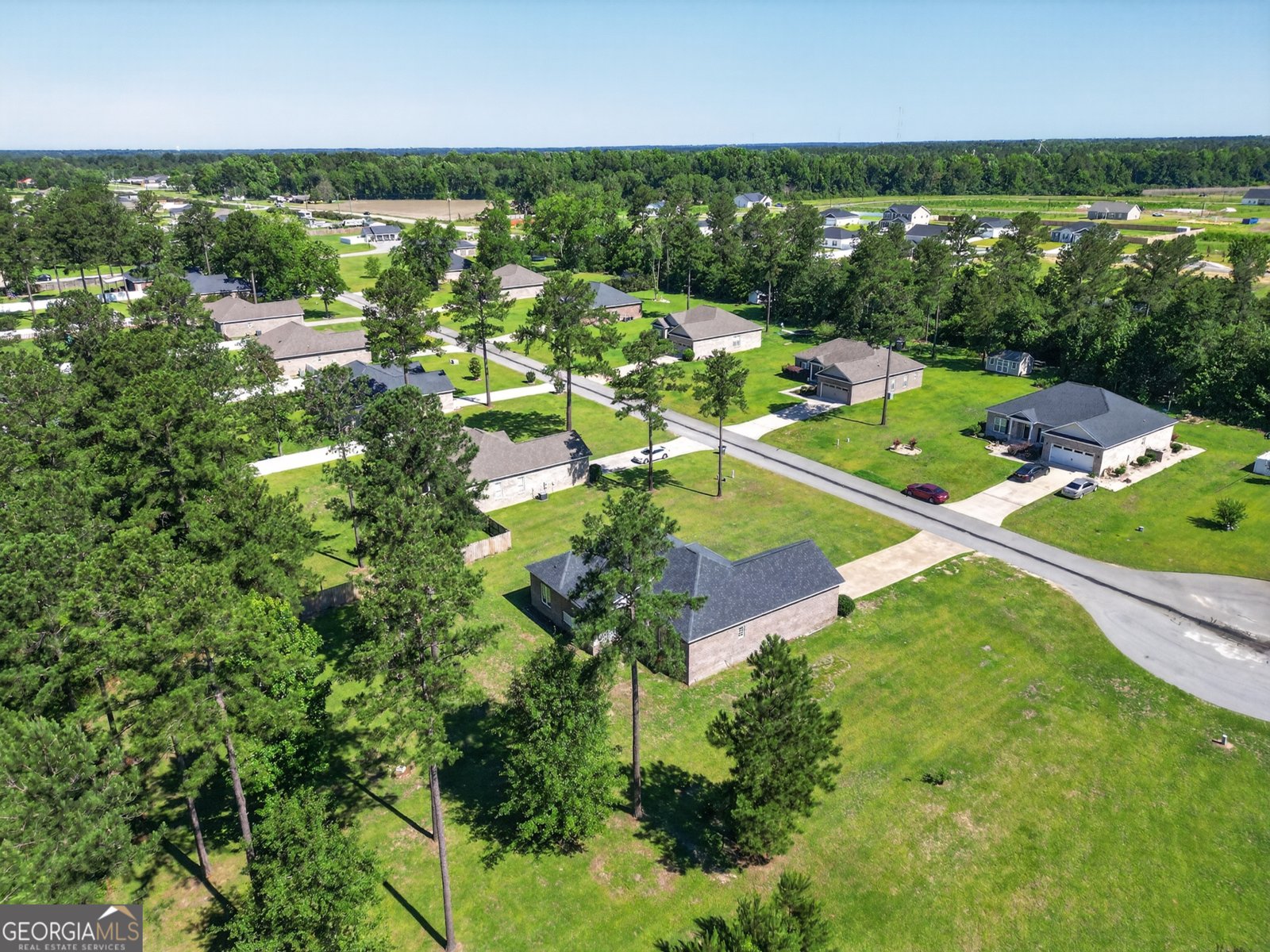 214 Dewpoint Drive Statesboro - Photo 9