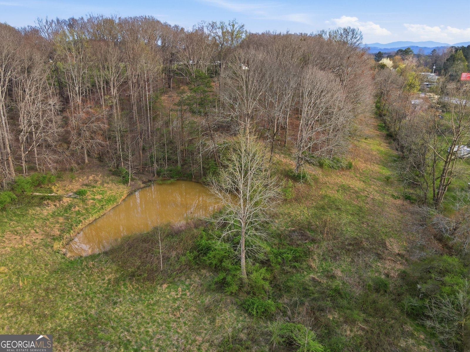 5446 Murphy Highway Blairsville - Photo 11