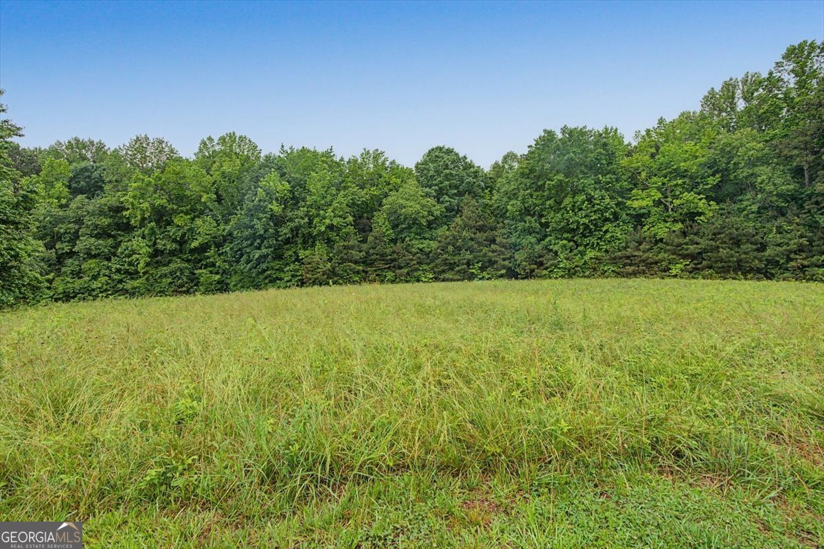 2480 Vinson Mountain Road Rockmart - Photo 38