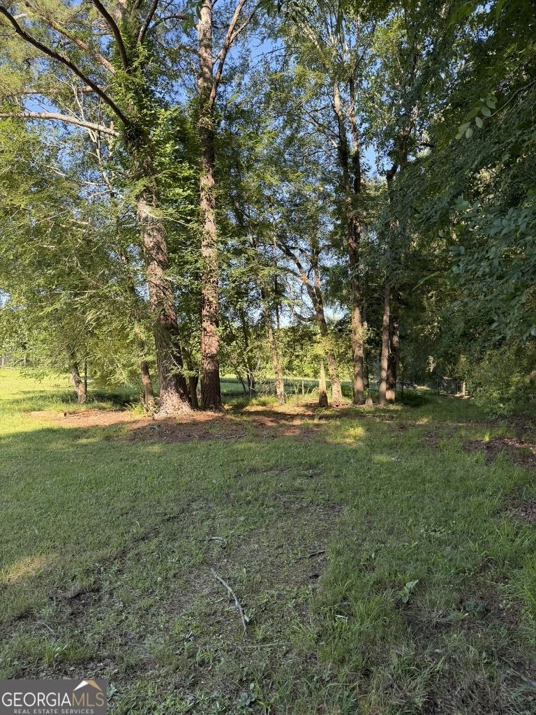 2973 River Road Elberton - Photo 10