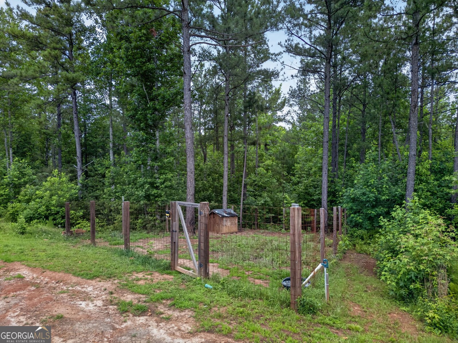 1401 Needmore Road Roopville - Photo 42