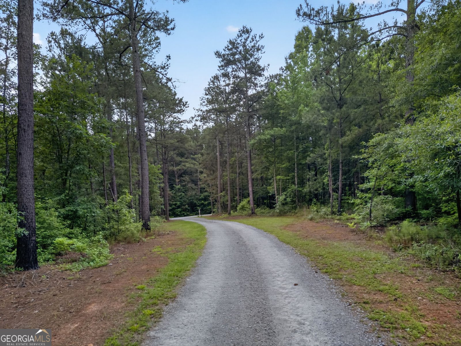 1401 Needmore Road Roopville - Photo 43
