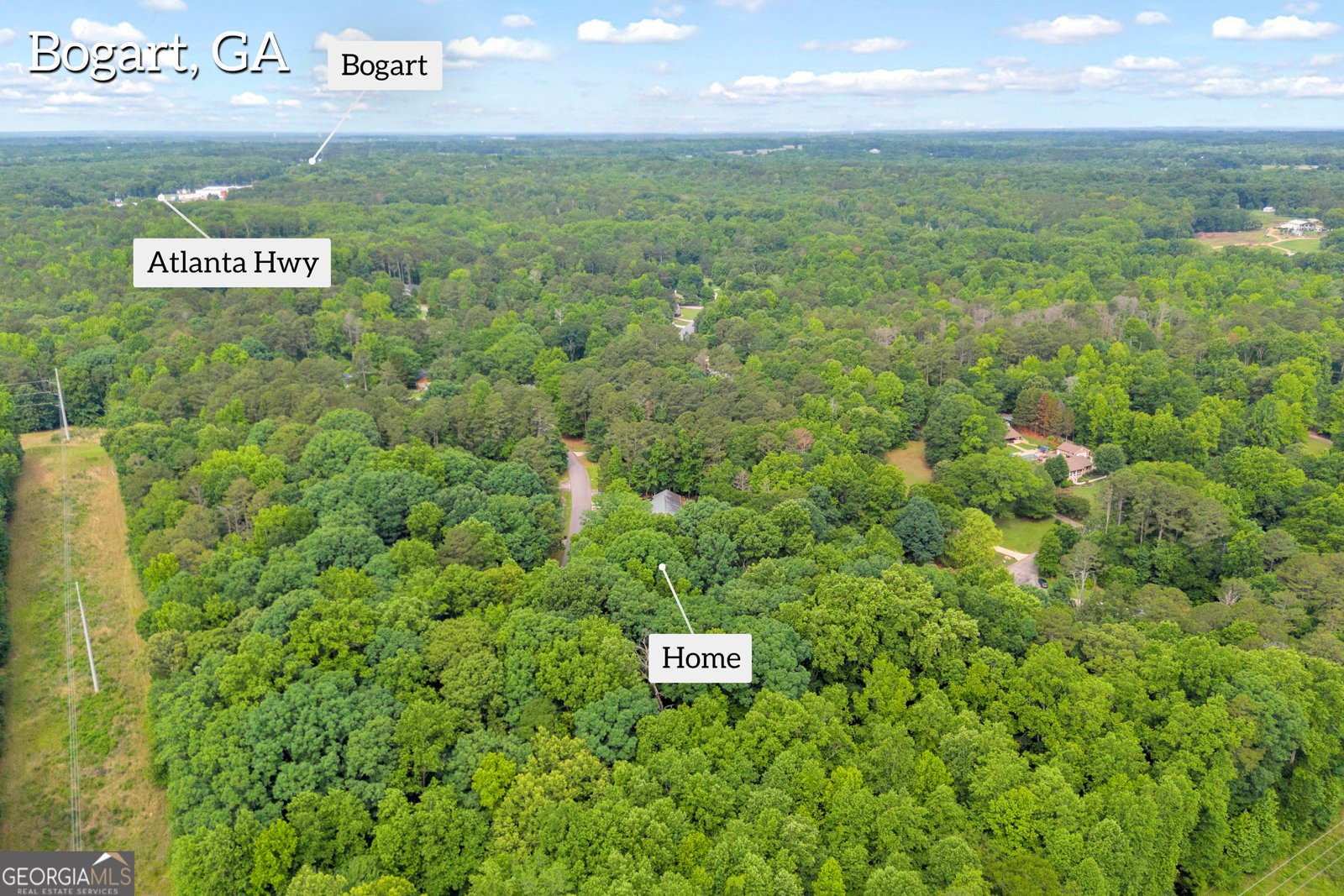 161 Pheasant Run Bogart - Photo 38