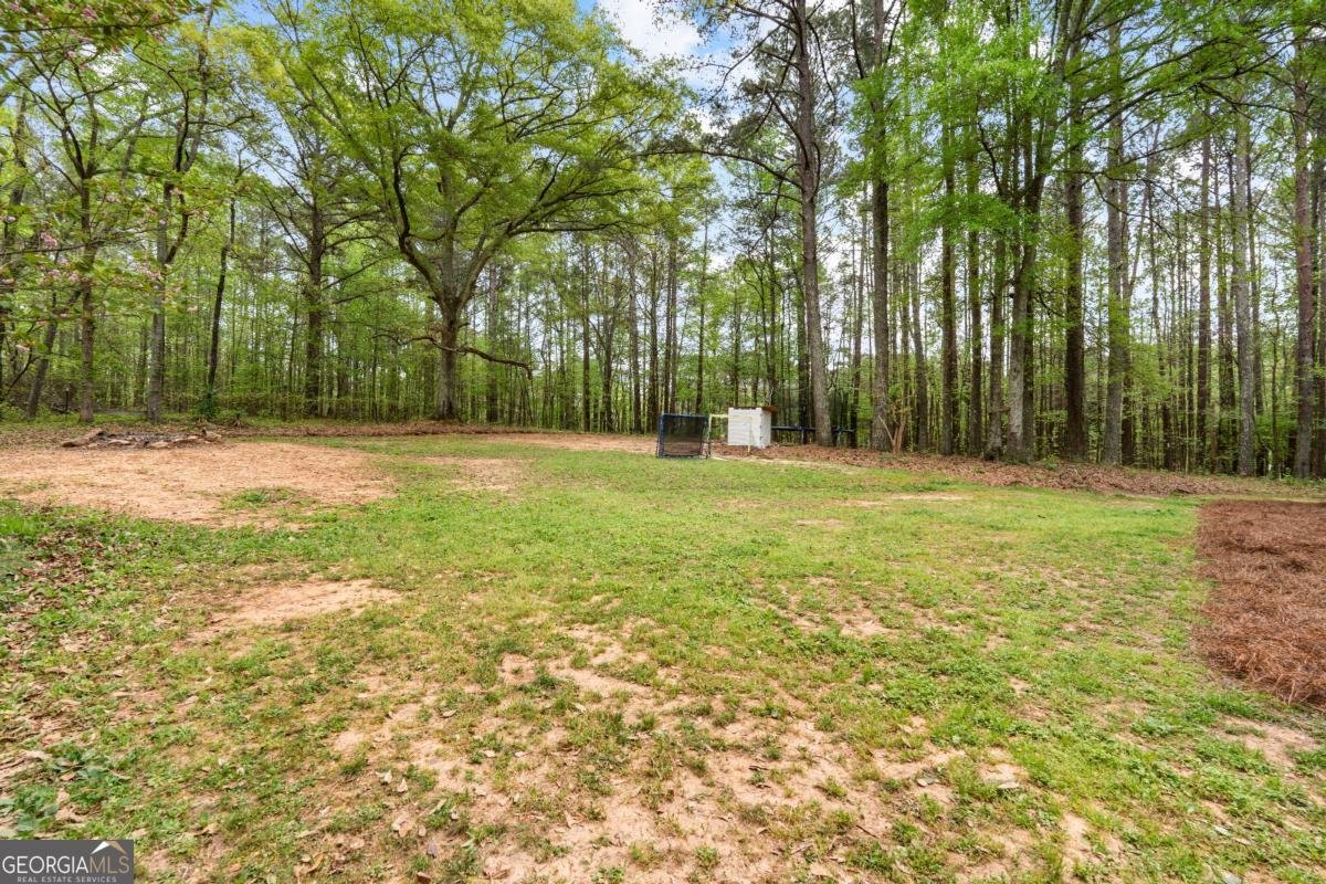 1177 Bob Smith Road Sharpsburg - Photo 47
