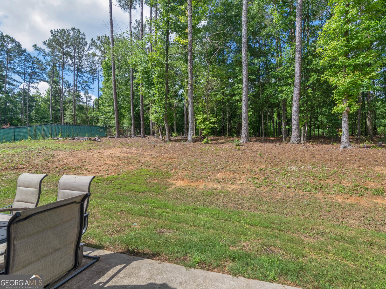 2018 Emily Jane Drive Griffin - Photo 59