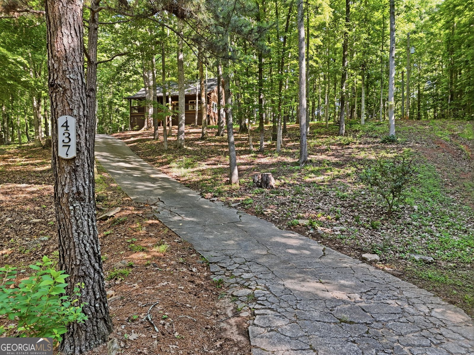 437 Twin Lakes Drive Canton - Photo 21