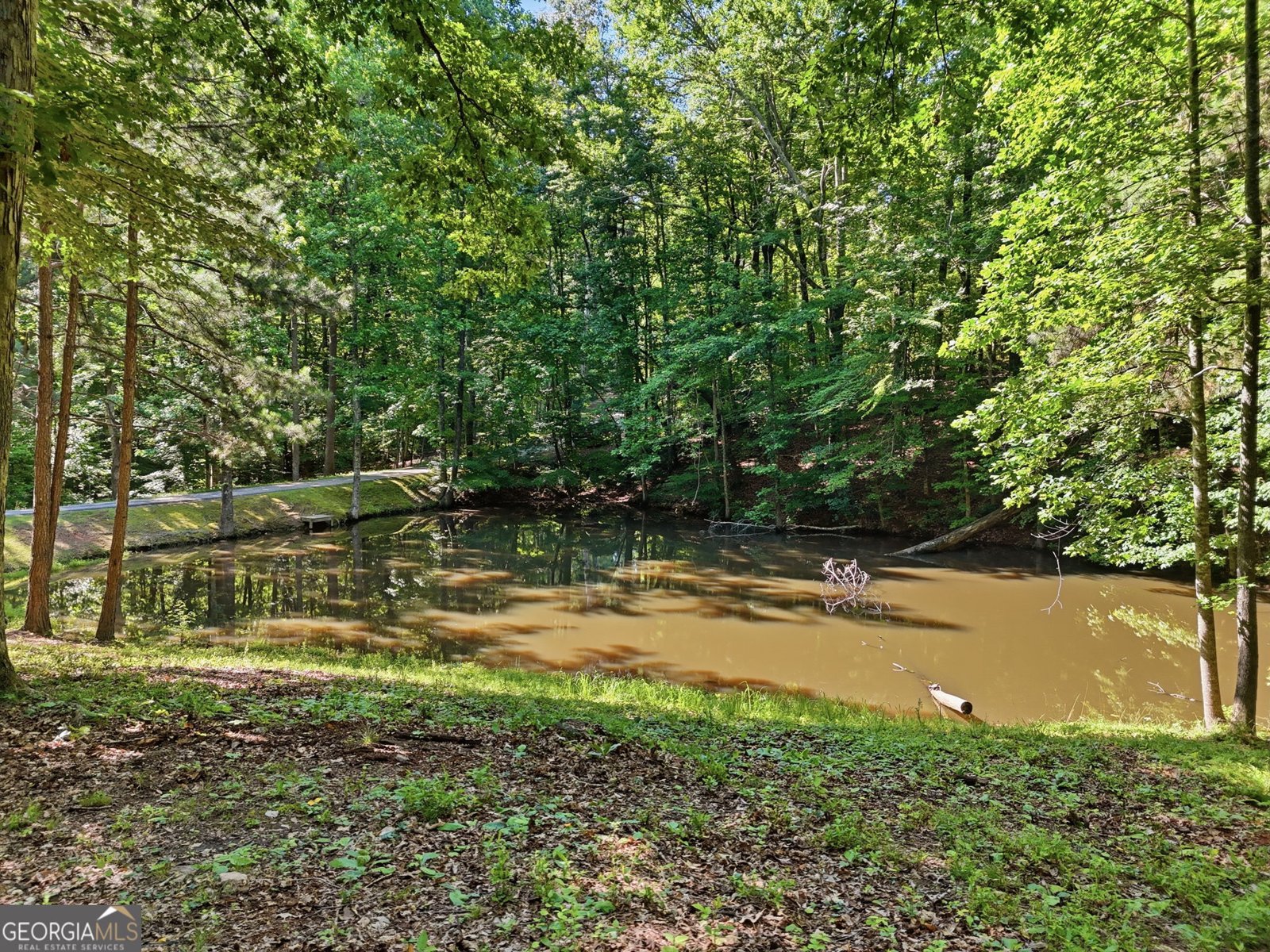 437 Twin Lakes Drive Canton - Photo 29