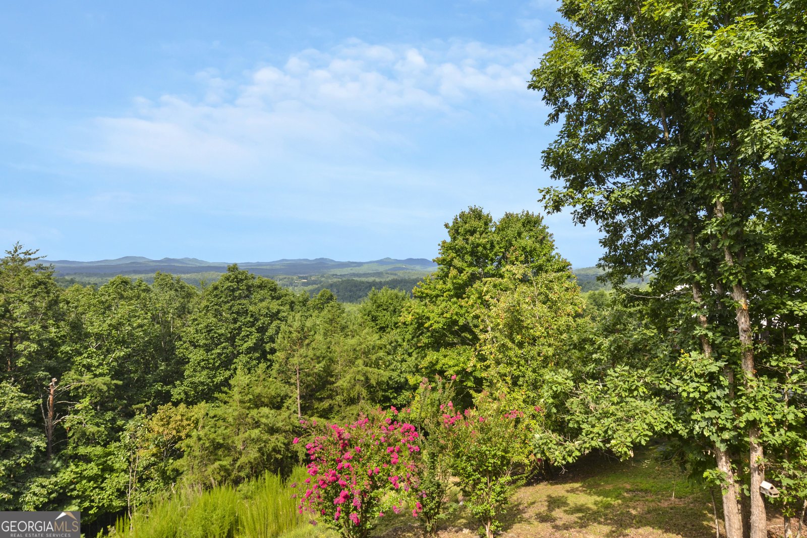 1388 Highland Trace Blairsville - Photo 48