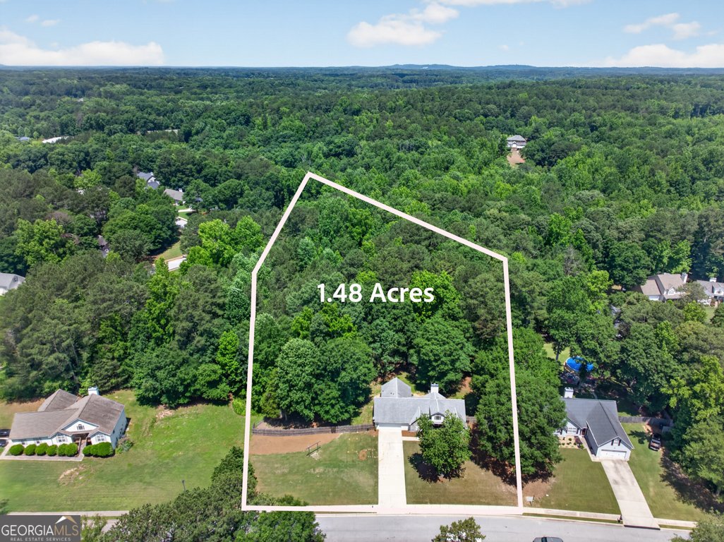 6020 Fieldwood Lane Loganville - Photo 43