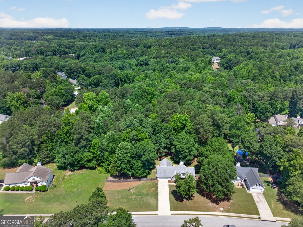 6020 Fieldwood Lane Loganville - Photo 44