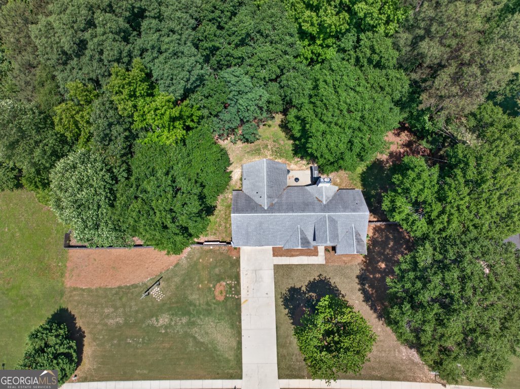 6020 Fieldwood Lane Loganville - Photo 46