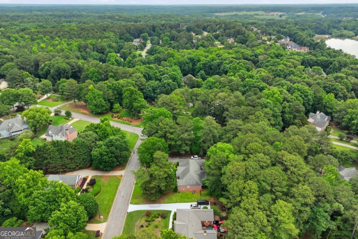 1286 Lake Forest Lane Mcdonough - Photo 53