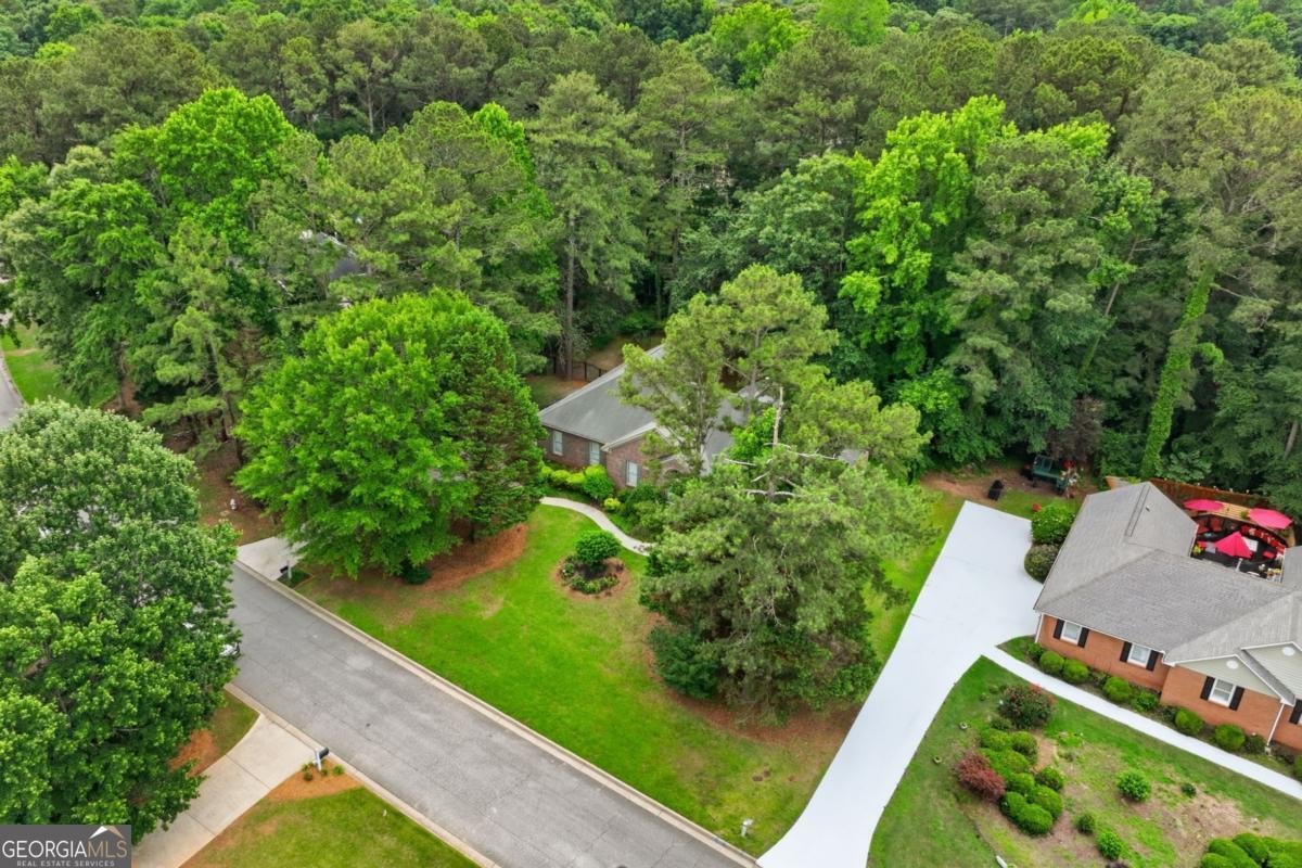 1286 Lake Forest Lane Mcdonough - Photo 54