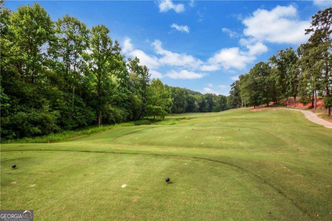 7230 Thistle Down Way Flowery Branch - Photo 6