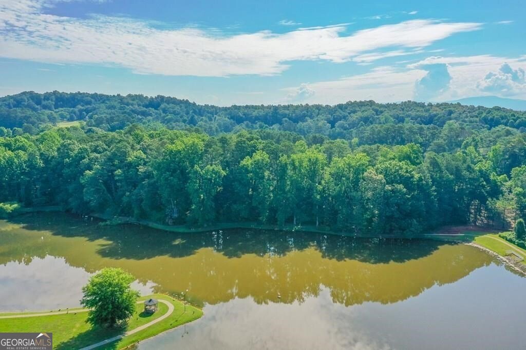 4700 Loftwood Drive Cohutta - Photo 45