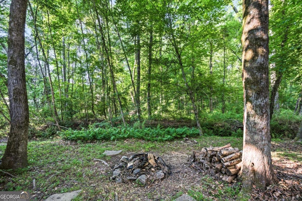 1329 Turtlebrook Lane Lawrenceville - Photo 59