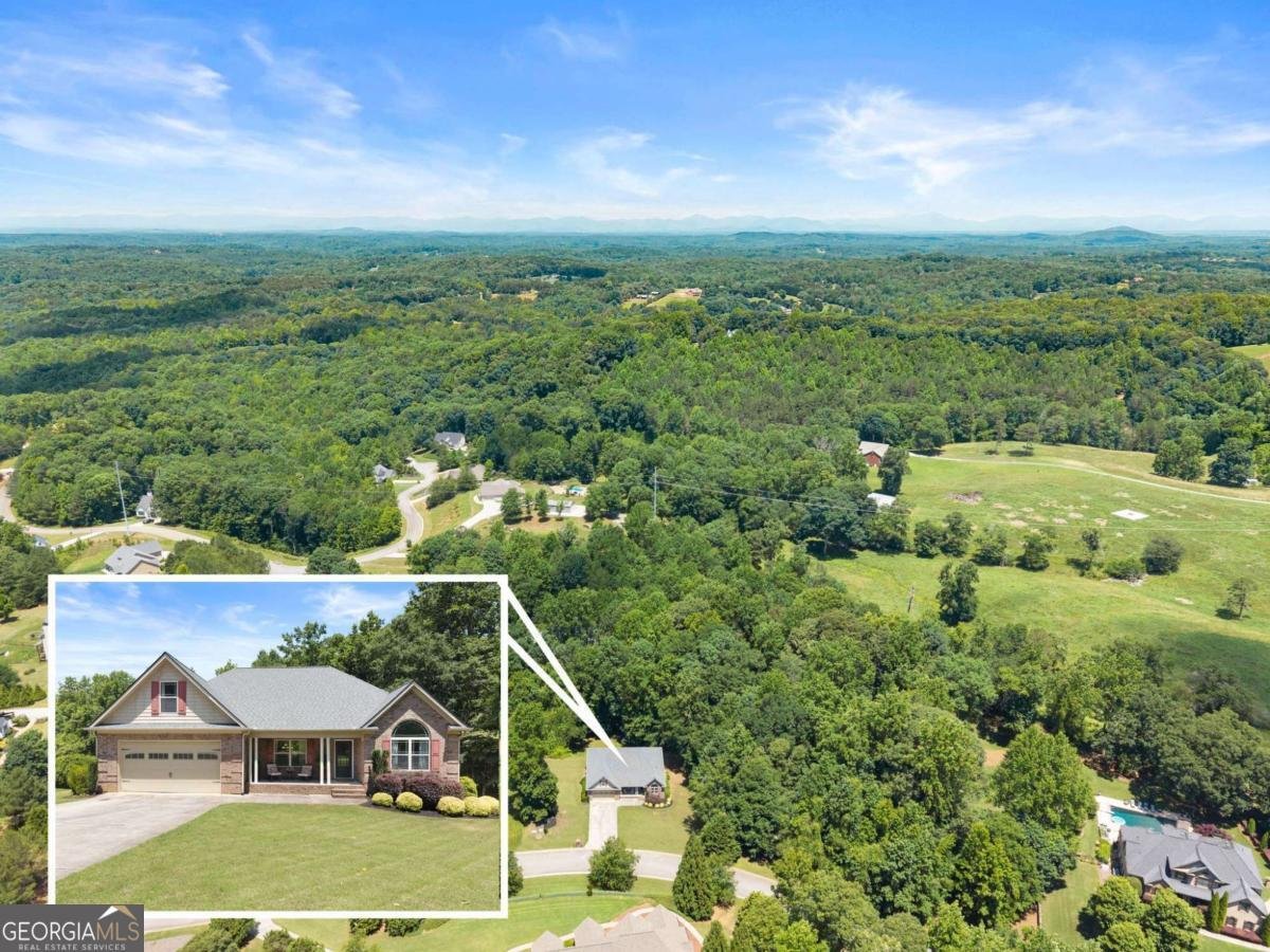 6049 Green Tree Lane Gainesville - Photo 40