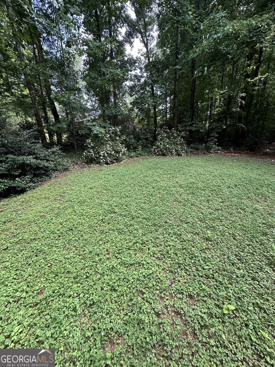 158 Wexford Newnan - Photo 32