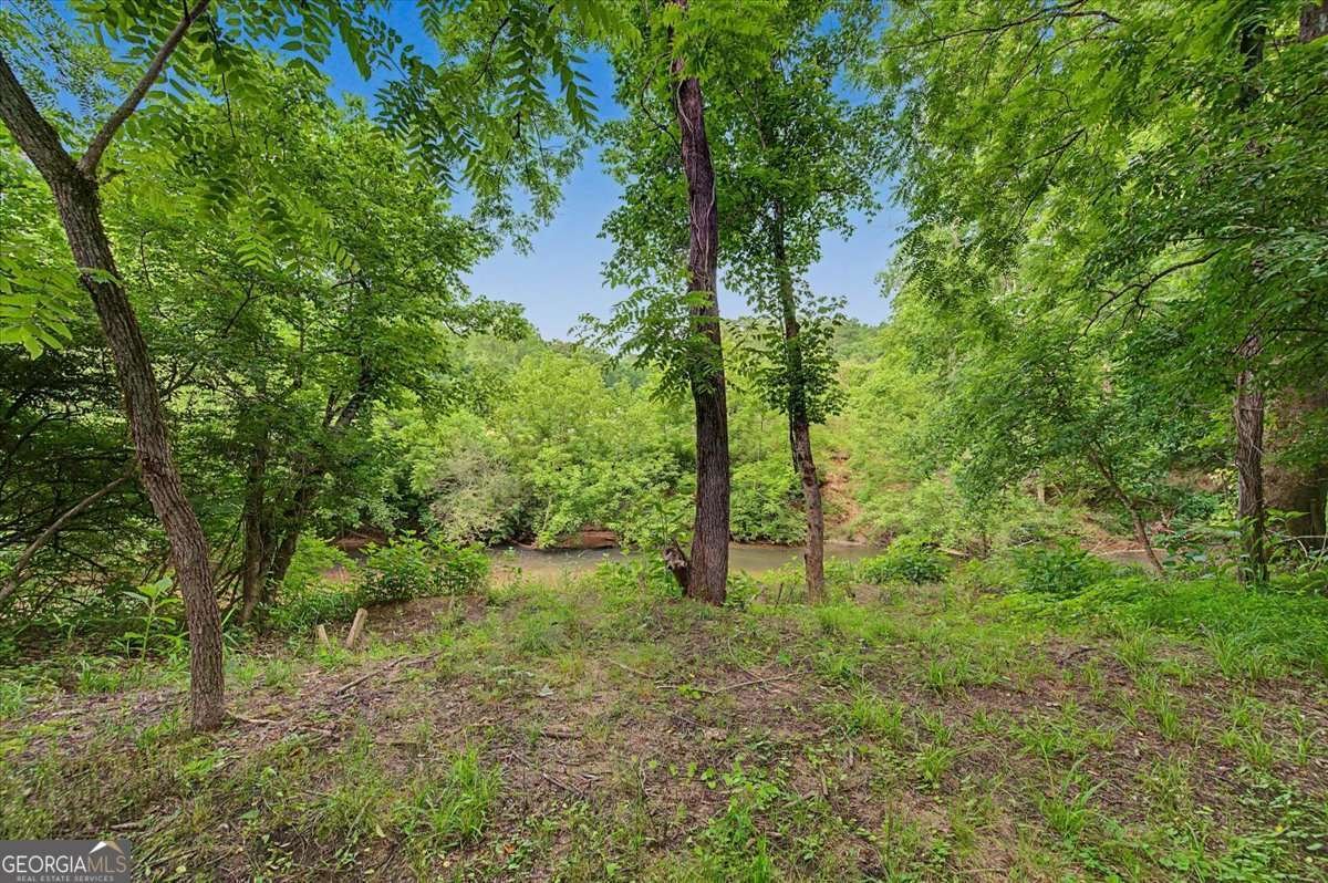 151 Preserve Parkway Ball Ground - Photo 49