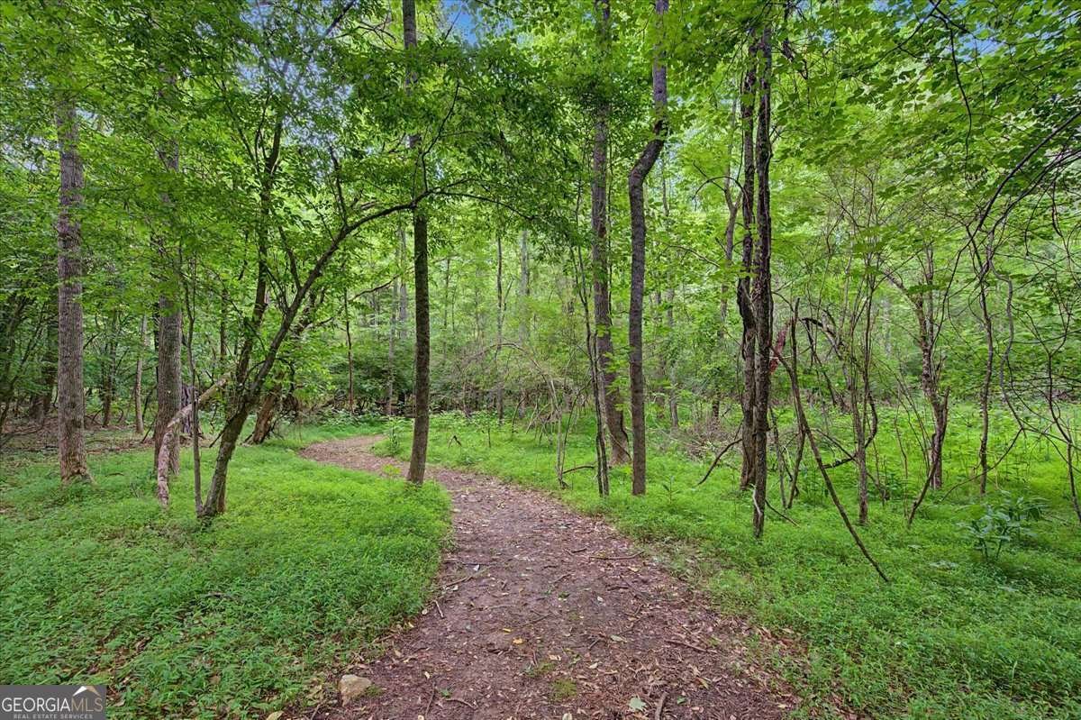 151 Preserve Parkway Ball Ground - Photo 52