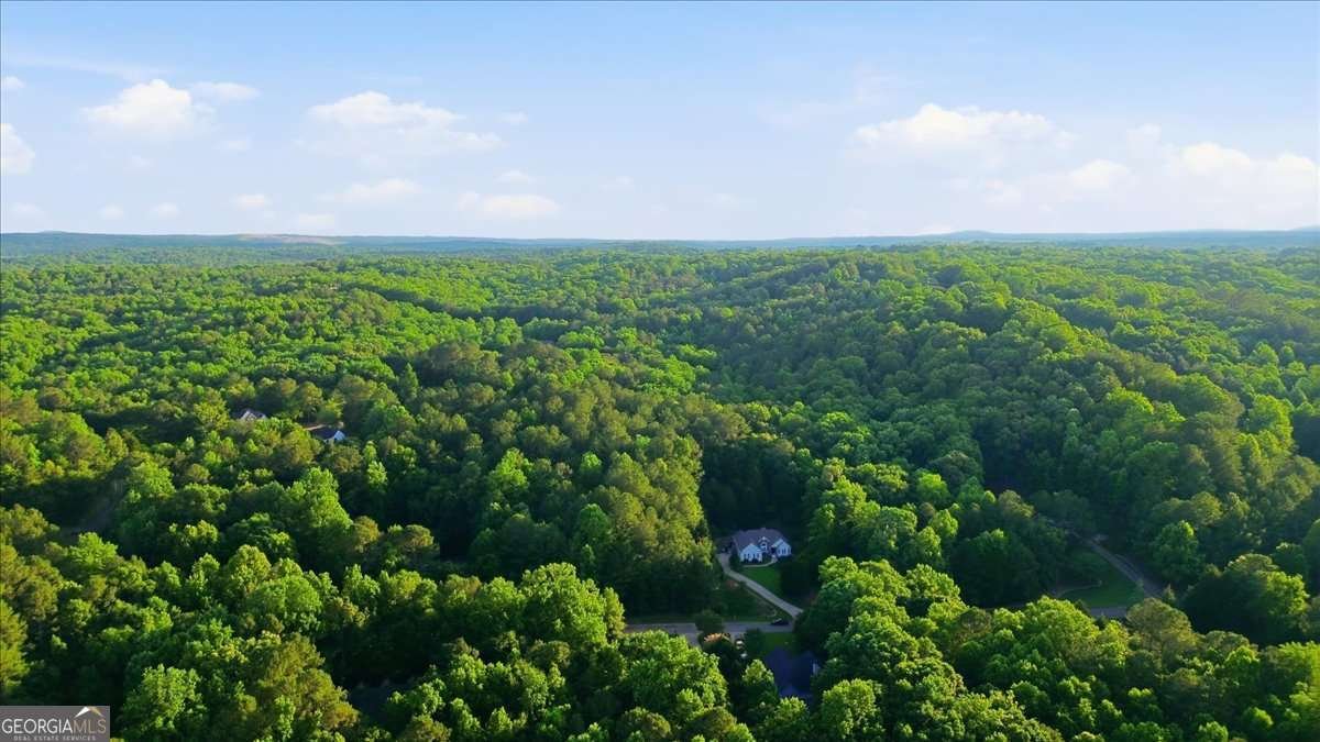 151 Preserve Parkway Ball Ground - Photo 57