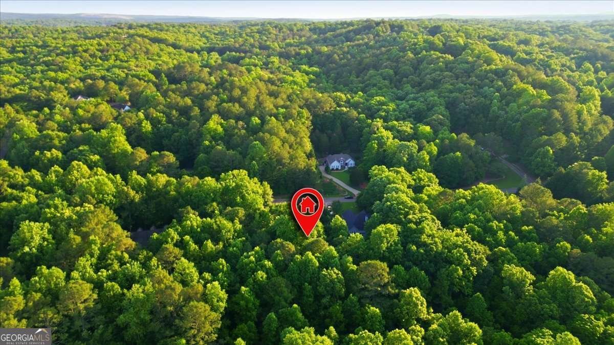 151 Preserve Parkway Ball Ground - Photo 59
