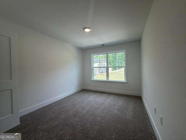 5325 Vinci Place Douglasville - Photo 23