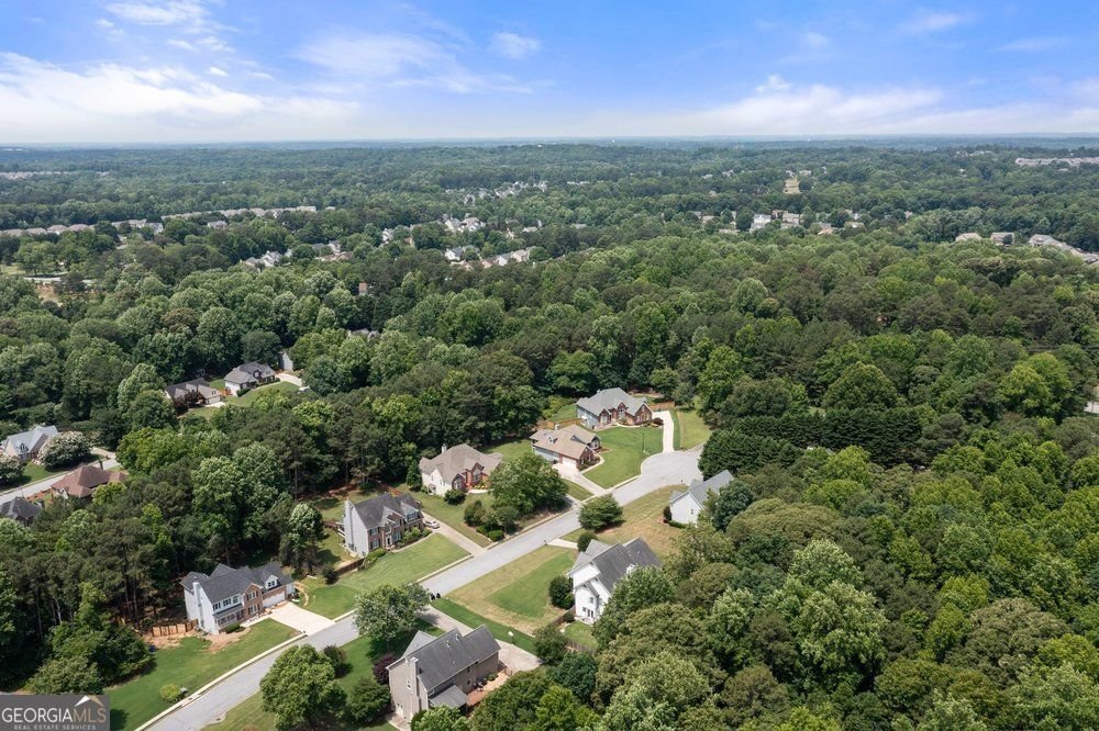 3523 Elinburg Cove Trail Buford - Photo 52