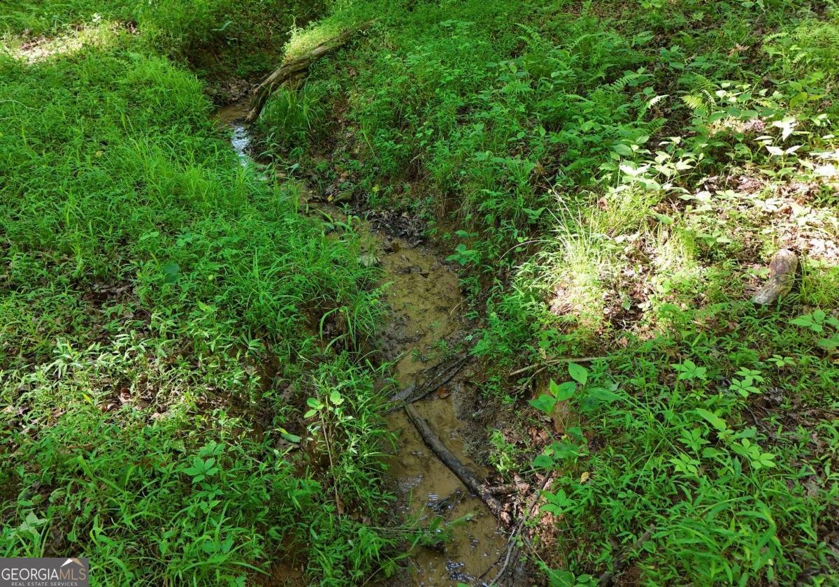 175 Bell Road Mineral Bluff - Photo 31