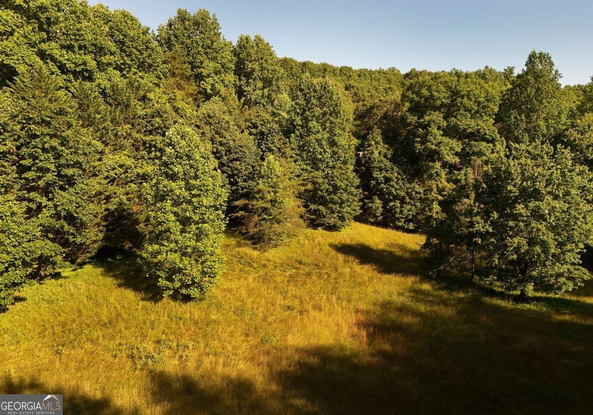 175 Bell Road Mineral Bluff - Photo 36