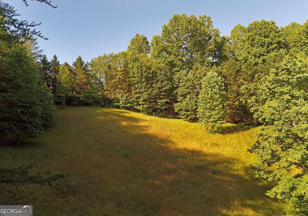 175 Bell Road Mineral Bluff - Photo 37