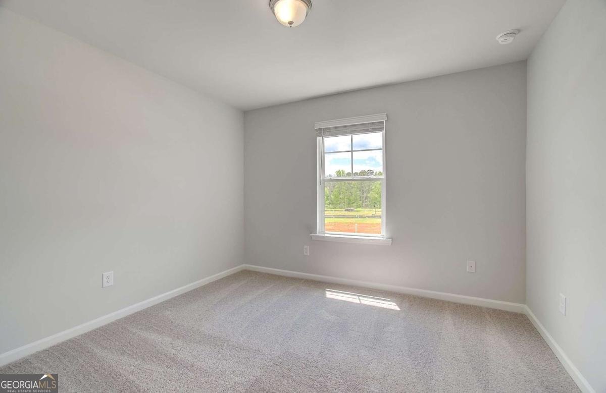 117 Alpine Road Fairburn - Photo 17