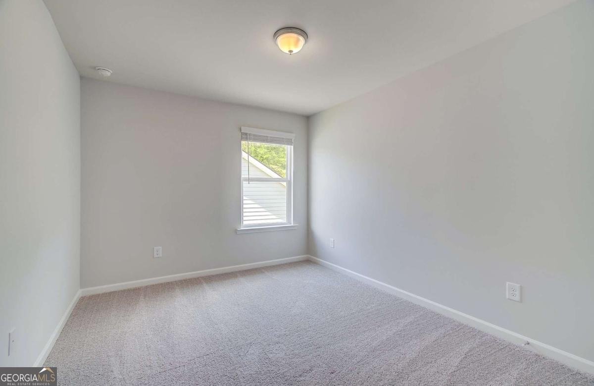 117 Alpine Road Fairburn - Photo 19