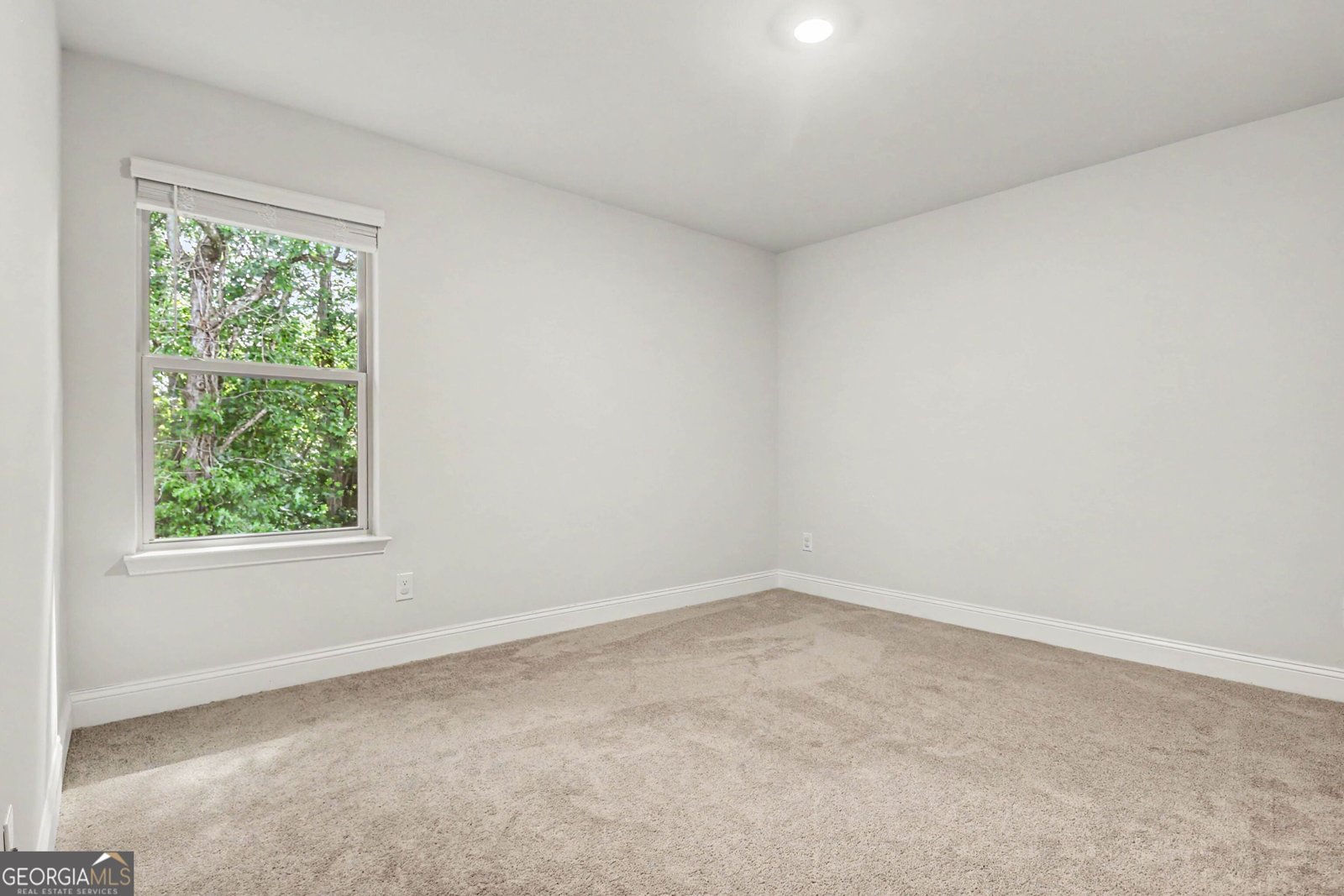 665 Trojan Lane Alto - Photo 16