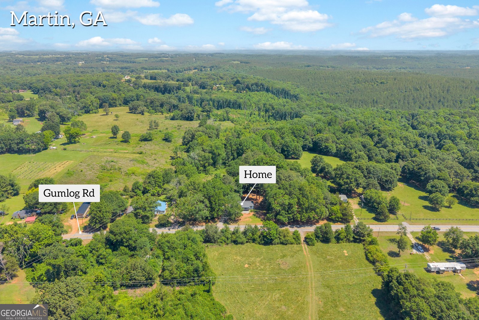 640 Gumlog Road Martin - Photo 29